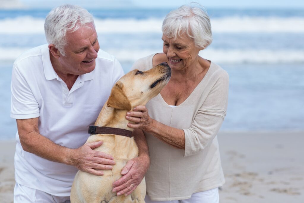 Retired couple on the beach with their dog
